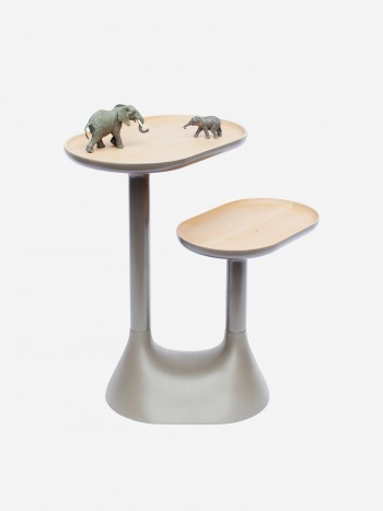 Baobab coffe table