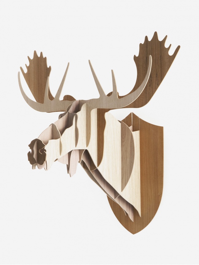 Moose Random trophy Moose Random trophy