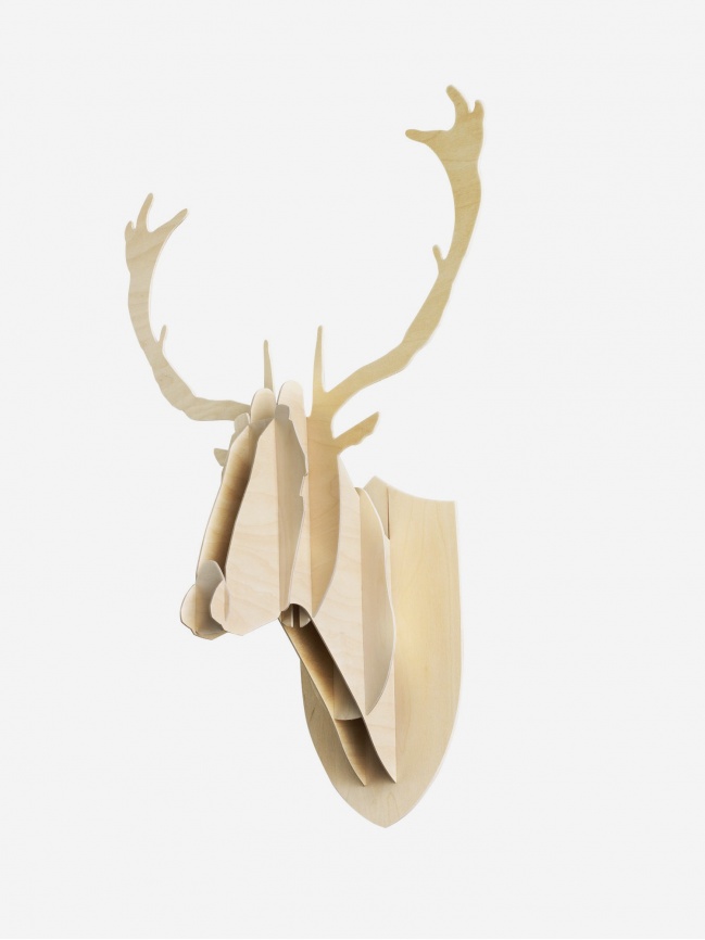 Deer trophy Deer trophy