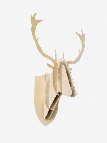 Deer trophy