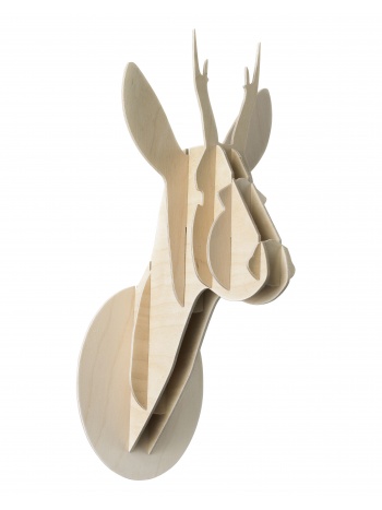 Trophée Roedeer